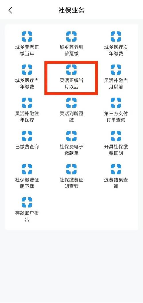 2025年甘肃省养老保险缴费标准、基数规定及申报流程