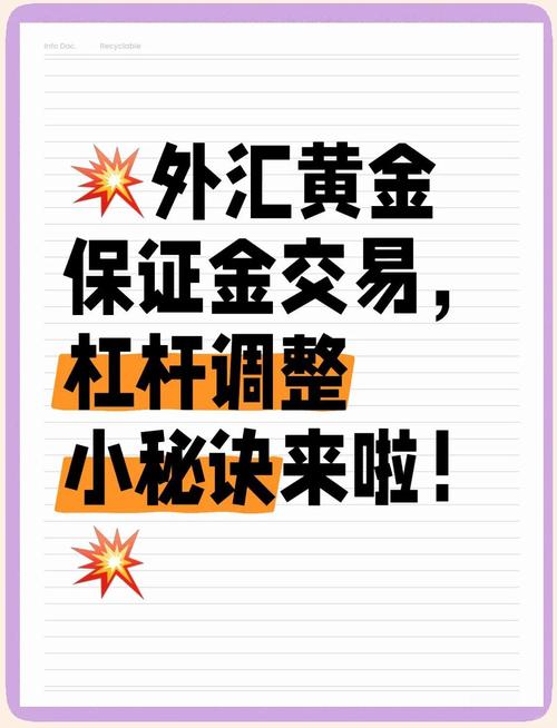 正规的外汇交易平台杠杆比例_外汇杠杆交易原理_外汇杠杆合理运用策略