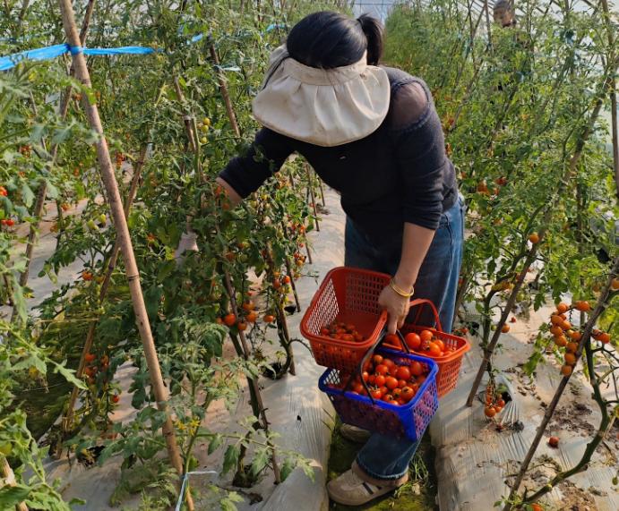 黄山旅游有限公司待遇_黄山旅游发展股份有限公司招聘_黄山旅游招聘信息