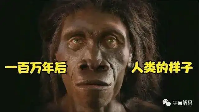 达尔文进化论自然选择共同祖先_达尔文的进化论主要贡献是