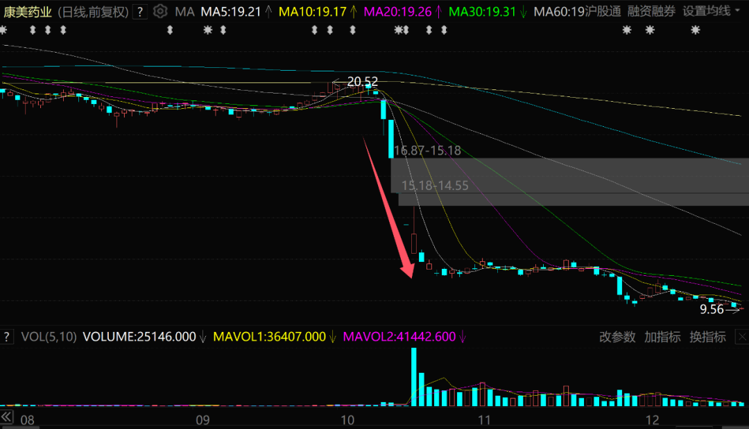 康美药业财务造假历史_广发证券康美事件后发展前景_康美药业2024年财报分析