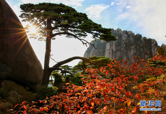 黄山旅游集团公司招聘_黄山旅游发展股份有限公司招聘_黄山旅游有限公司待遇