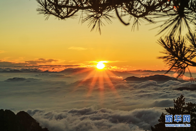 黄山旅游发展股份有限公司招聘_黄山旅游集团公司招聘_黄山旅游有限公司待遇