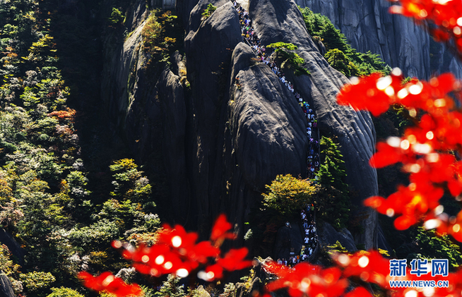 黄山旅游有限公司待遇_黄山旅游集团公司招聘_黄山旅游发展股份有限公司招聘