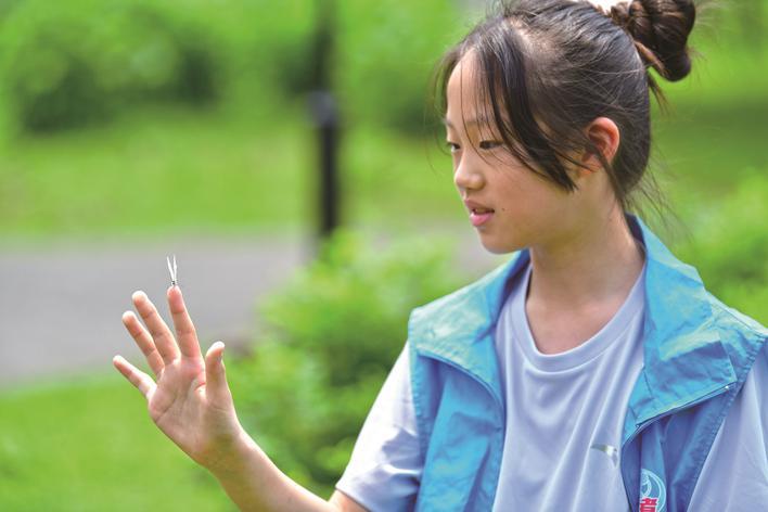 自然法则是_自然法则包括人类吗_自然法则有哪些