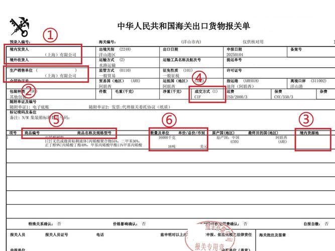 报关单填错别慌！这里有操作失误、货物退关等修改办法