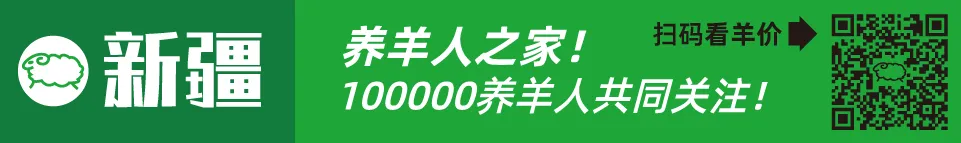 寒羊育肥公羔价格河北_近几年活羊价格走势图_寒羊育肥母羔价格河南