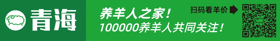 寒羊育肥母羔价格河南_近几年活羊价格走势图_寒羊育肥公羔价格河北