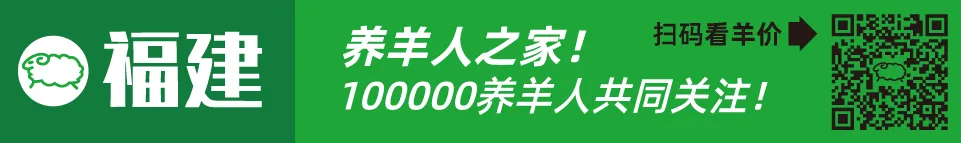 寒羊育肥公羔价格河北_寒羊育肥母羔价格河南_近几年活羊价格走势图