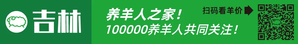 寒羊育肥公羔价格河北_近几年活羊价格走势图_寒羊育肥母羔价格河南