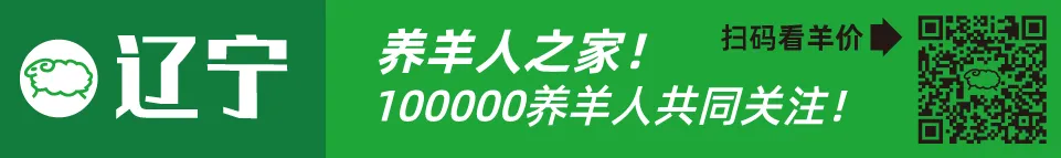 寒羊育肥公羔价格河北_近几年活羊价格走势图_寒羊育肥母羔价格河南