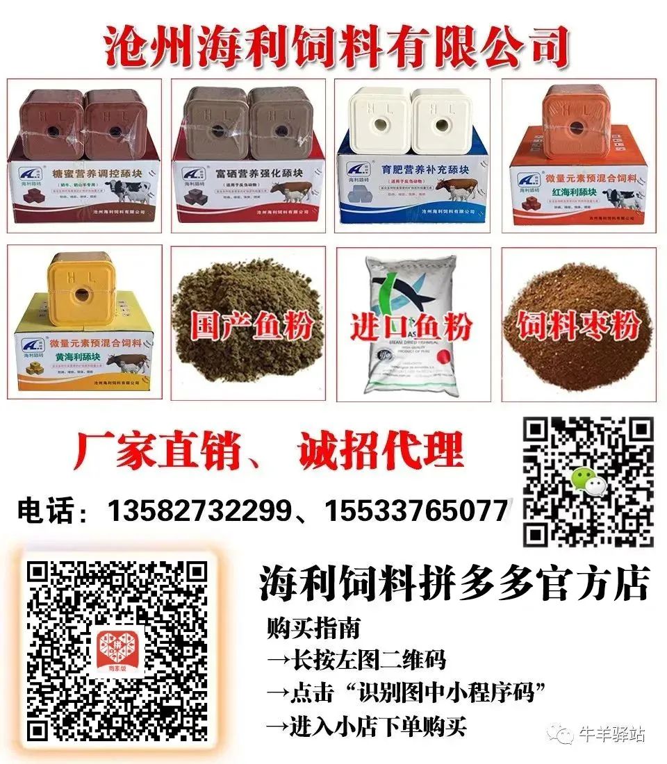 山东省牛羊肉价格走势_活牛活羊价格分析_近几年活羊价格走势图