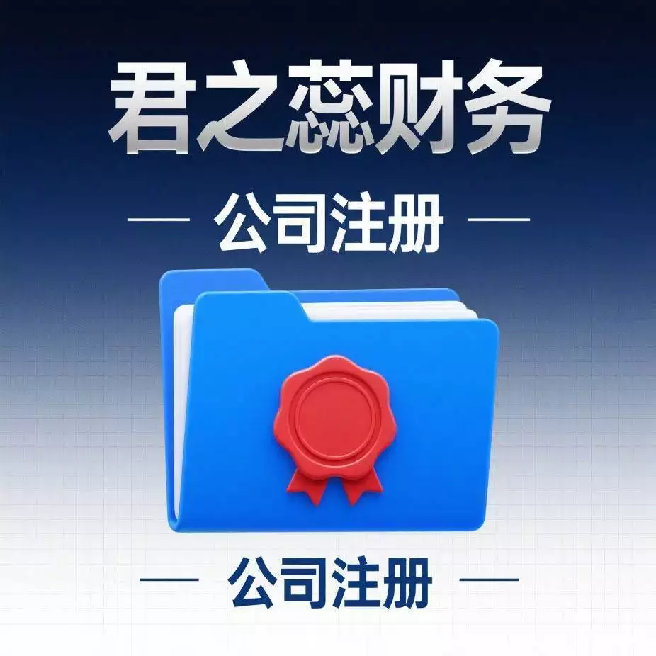 代理记账公司选择标准_代理记账许可证有风险吗_免费代理记账服务风险
