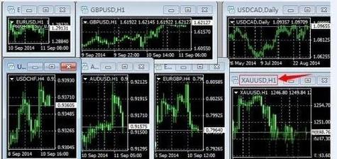 正规的外汇交易平台杠杆比例_外汇投资杠杆计算公式_高杠杆高风险外汇交易