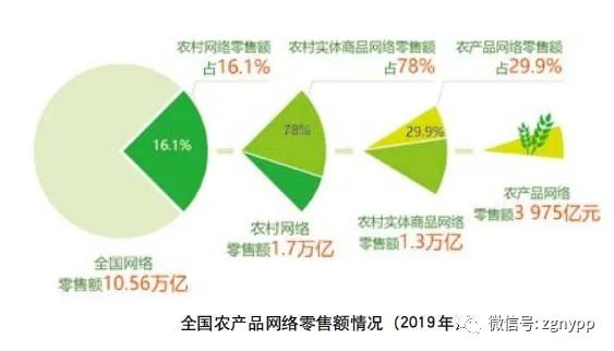 "十三五"时期农村电商发展情况报告_农业信息技术应用比例_农村电商农产品出村进城