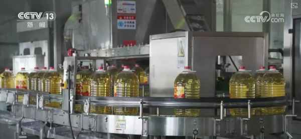 蔬菜市场供应保障_元旦粮油产品供应充足_今日生猪价格最新走势