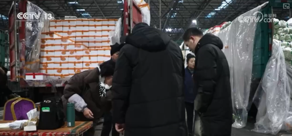 蔬菜市场供应保障_元旦粮油产品供应充足_今日生猪价格最新走势