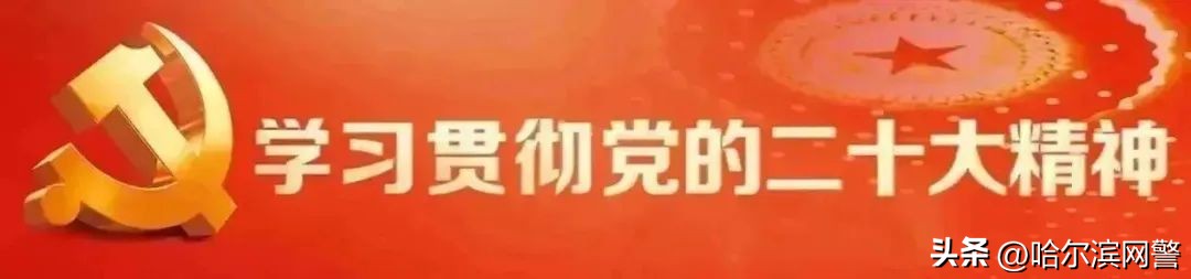 哈尔滨市公安局警税协作机制_打击暴力虚开发票_哈尔滨增值税专用发票