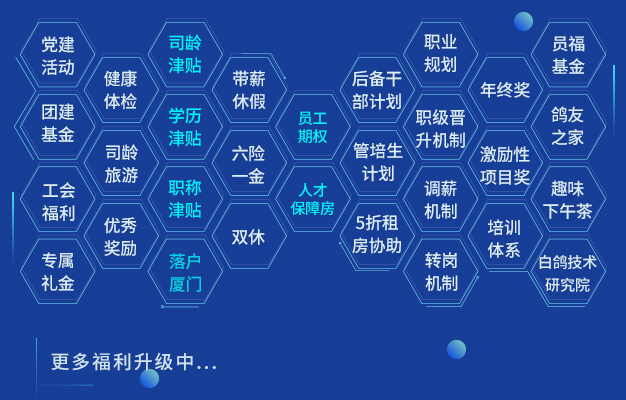 保险公司风控岗待遇如何？白鸽在线三大产品协同创新发展