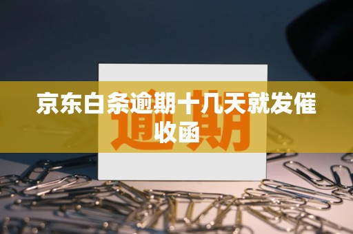 京东白条逾期十几天就催收,开通使用有风险吗?