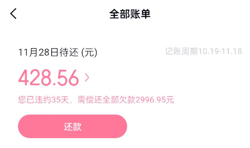 京东白条逾期十几天发催收函_开通京东白条有没有风险_京东白条逾期处理方法