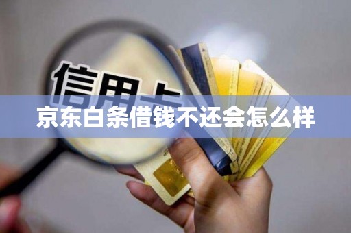 京东白条借钱不还会怎么样
