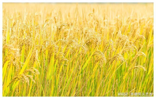 美国股市注册制时间_全面注册制全面降准5浪5000点_注册制后市场走势分析