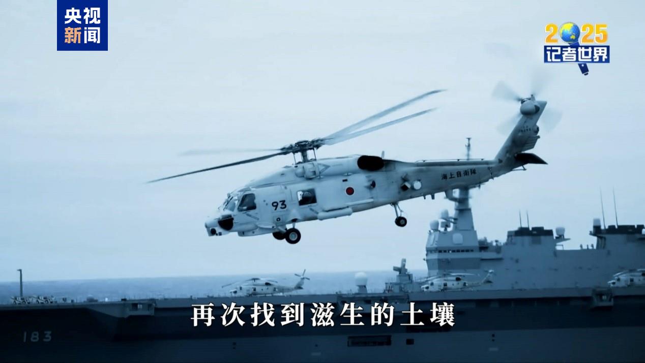 根源背景历史社会分析_社会背景和历史根源_根源背景历史社会现象