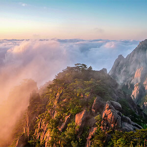 公司向股东分红要交多少个税_股东分红个人所得税税率_股东分红个人所得税什么时候交