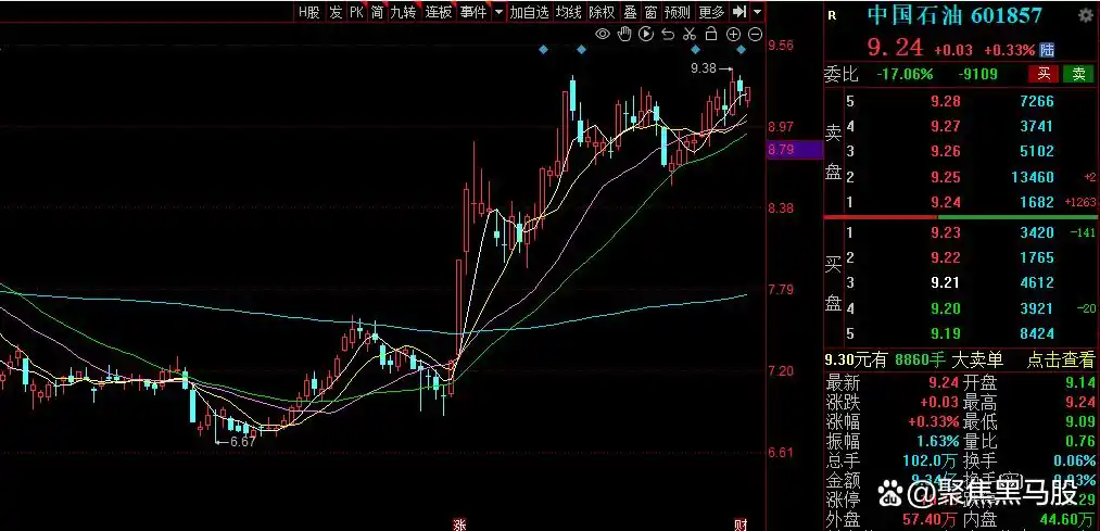 持续稳定分红上市公司_a股高分红股票有哪些_高股息率连续分红公司