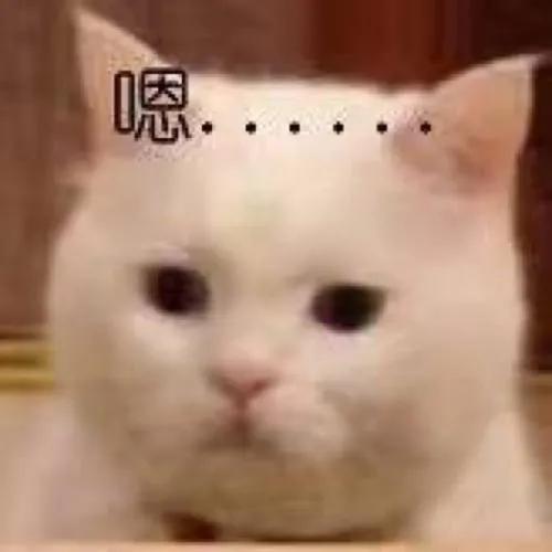 网贷要交工本费真的假的_建瓯无抵押贷款诈骗案例_网络贷款诈骗套路