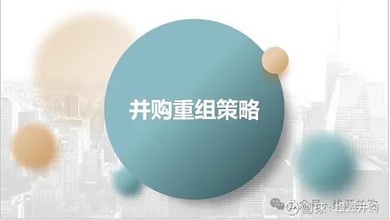 跨国并购整合阶段财务风险_并购整合策略_企业并购风险防范