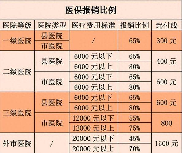 职工大额医疗保险范围_医保个人账户支付白名单药品医疗器械范围_定点零售药店医保个人账户支付白名单制度